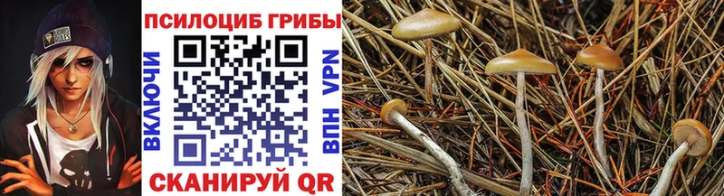 Галлюциногенные грибы MAGIC MUSHROOMS  цена наркотик  Петровск-Забайкальский 