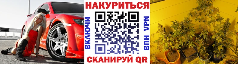 Шишки марихуана сатива Петровск-Забайкальский